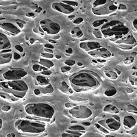 GPWP02500 Millipore Express親水性PES 0.22um,25mm表面濾膜