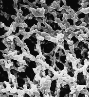AABG02500黑色網(wǎng)格MF親水MCE表面濾膜, 0.8μm,25mm