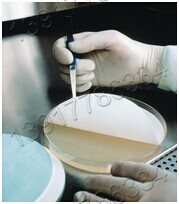 美國Merck Millipore默克密理博生命科學(xué)產(chǎn)品系列 美國Merck Millipore默克密理博生命科學(xué)產(chǎn)品系列