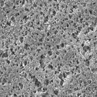 ANWP02500美國Millipore 0.8um尼龍表面濾膜