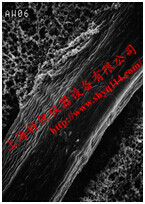 RW0304700密理博0.2um*47mm RW預過濾膜 RW0304700密理博0.2um*47mm RW預過濾膜